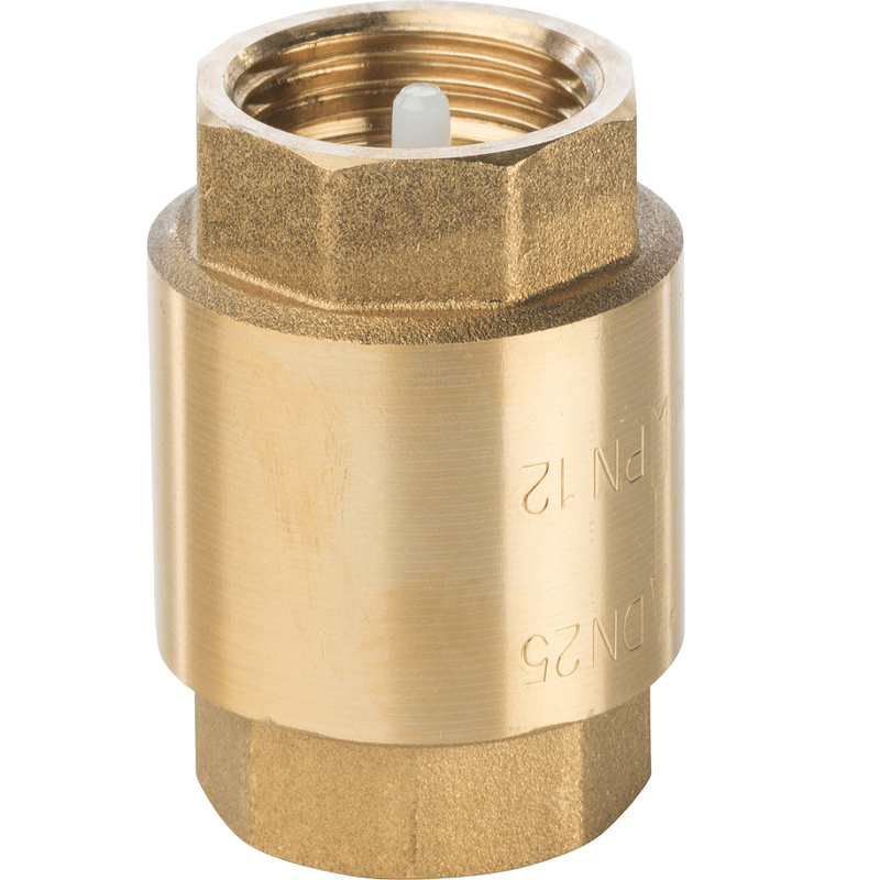 Обратный клапан с нейлоновым затвором 1 дюйм