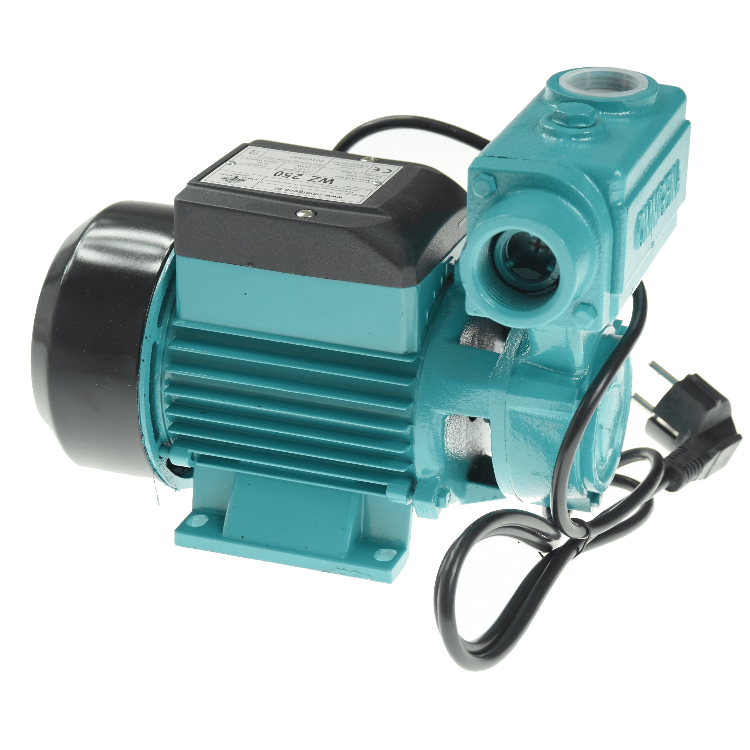 Насос вихревой поливочный OMNIGENA WZ 250